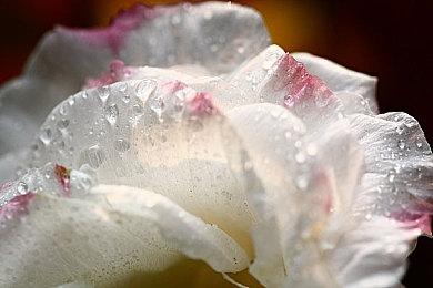 类《8号出口》游戏《女优! 离不开那个泳池了！》即将在4月推出